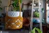 crochet plant hanger styled indoor home decor