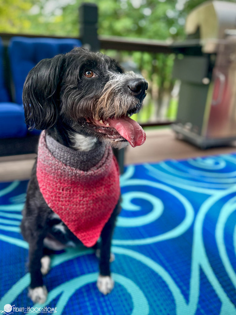dog wearing crochet bandana accessory