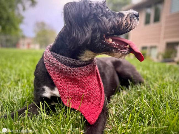 dog bandana crochet pattern easy pet scarf design