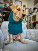 fit view of crochet dog hoodie pattern on pet