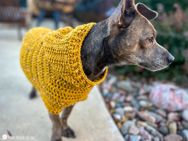 hood detail of crochet dog hoodie pattern