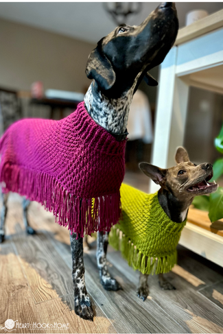 small dog wearing easy crochet poncho with hood