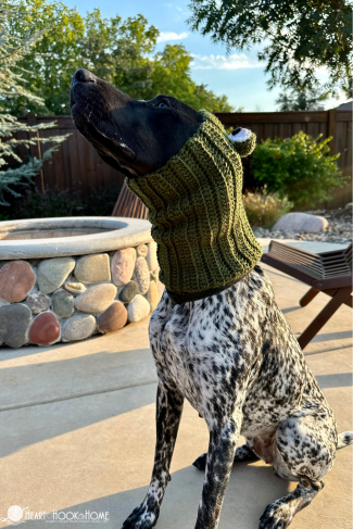 dog wearing crochet snood costume cute pet hat