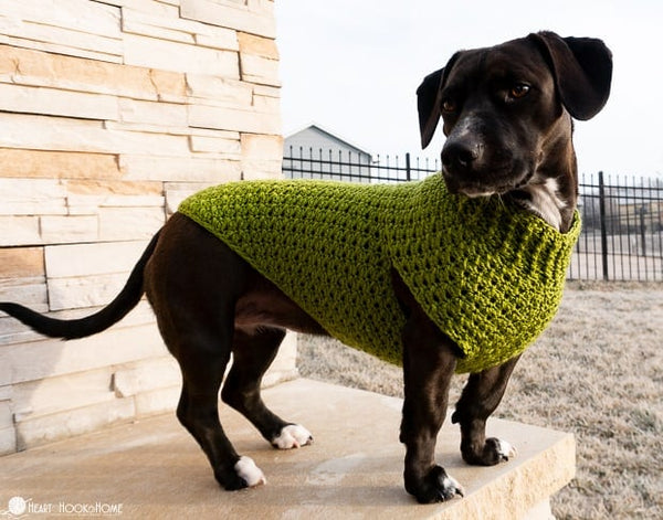 dog sweater crochet pattern cozy pet pullover worn