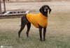 giant dog sweater crochet pattern large breed cozy pullover