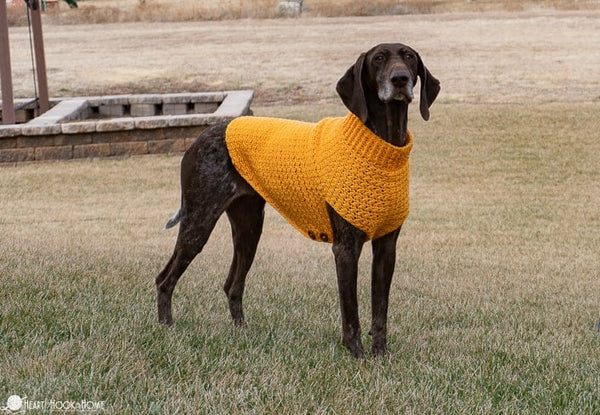 giant dog sweater crochet pattern large breed cozy pullover