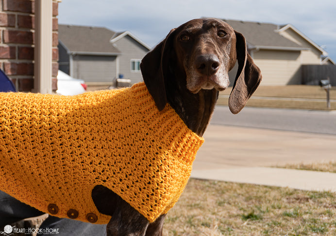 close up crochet stitches large dog sweater texture