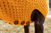 large dog wearing crochet sweater outdoors cozy look