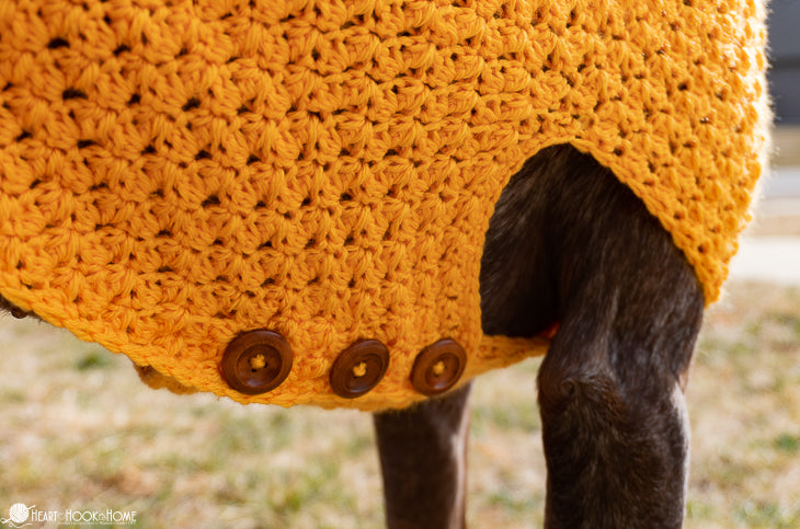 large dog wearing crochet sweater outdoors cozy look