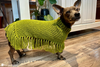 back view of dog poncho crochet pattern with hood detail