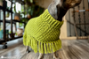 close up of crochet dog poncho hood and stitch detail