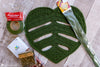 crochet monstera leaf wall hanging displayed on wall