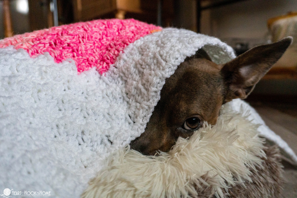handmade crochet paw print blanket gift idea for pet