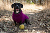 stellar dog sweater crochet pattern textured pet pullover