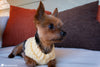 dog wearing textured crochet sweater cozy pet clothing