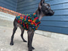 close up textured stitches tiny dog sweater crochet pattern