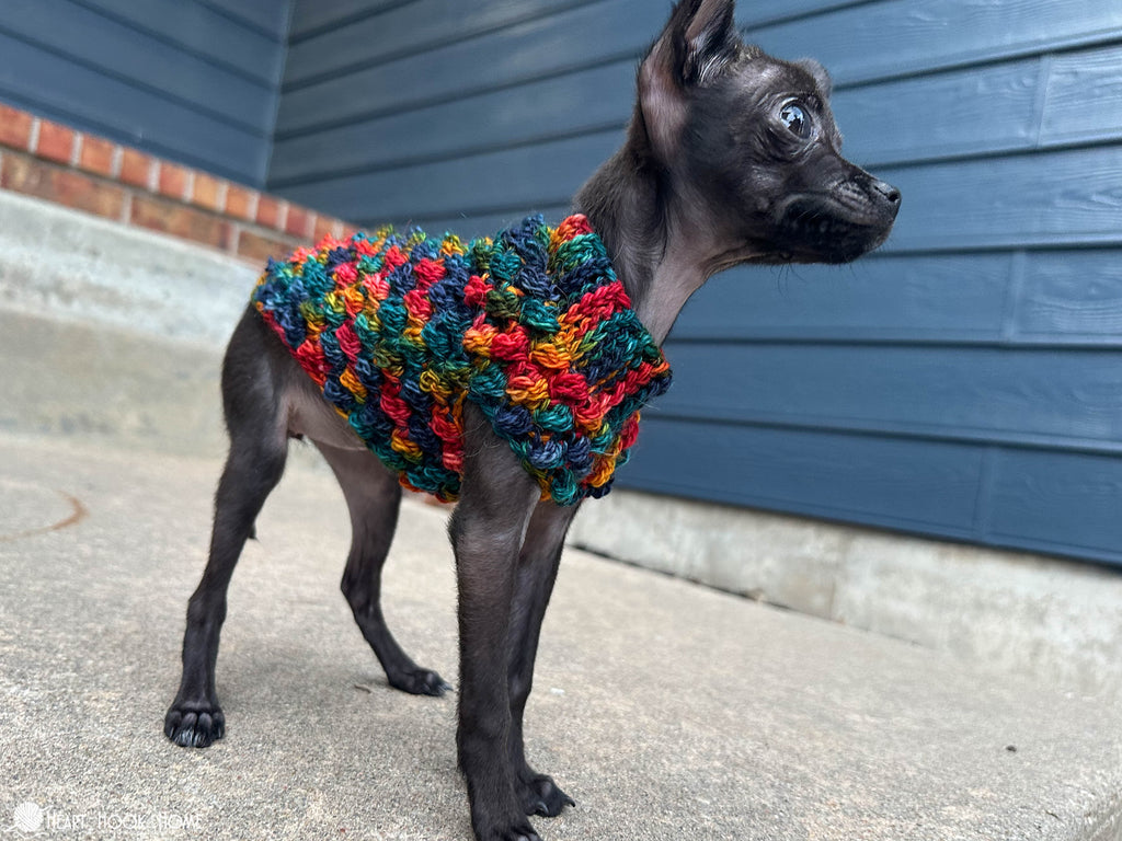 close up textured stitches tiny dog sweater crochet pattern
