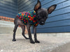 small dog wearing tiny crochet sweater cozy pet outfit
