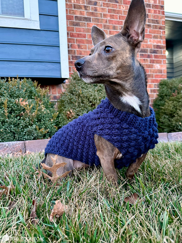 close up textured stitches wild berry dog sweater crochet