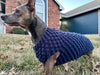 dog wearing crochet sweater outdoors cozy pet clothing